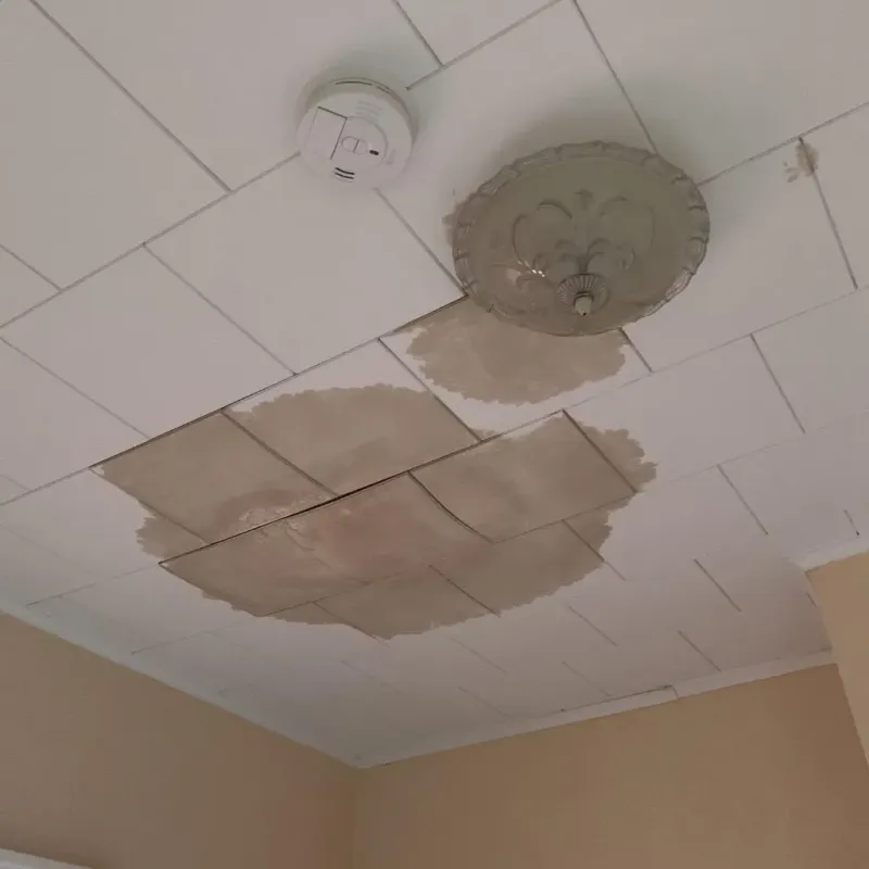 Ceiling Water Damage Repair in McFarland, WI